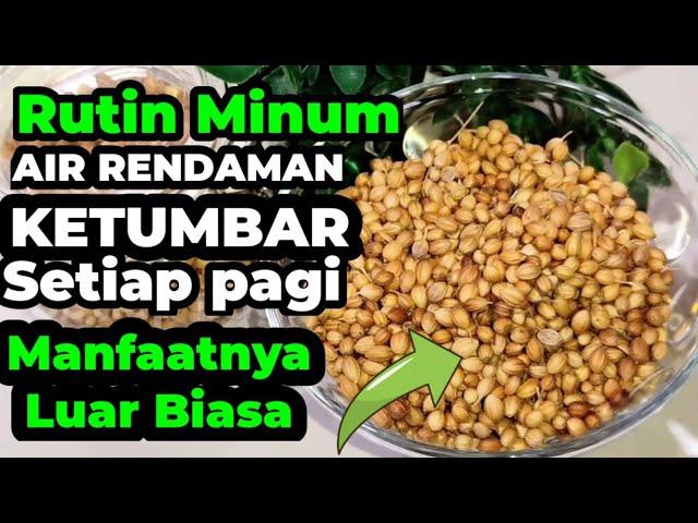 LUAR BIASA !! INILAH 7 MANFAAT MINUM AIR RENDAMAN KETUMBAR BAGI KESEHATAN TUBUH .