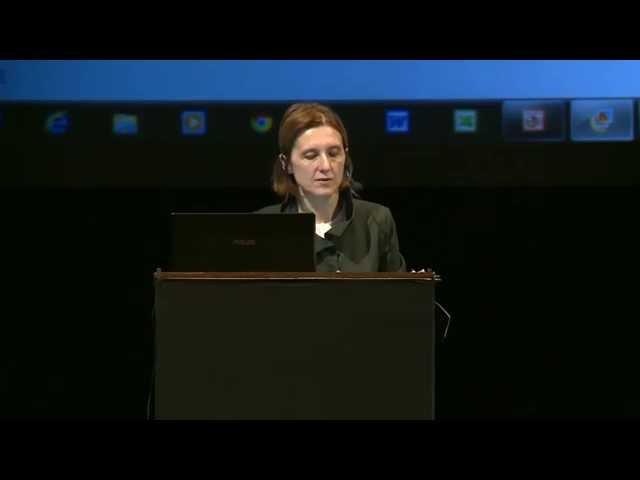 Forum arte contemporanea italiana 2015 - Guest talk - Hanna Wróblewska