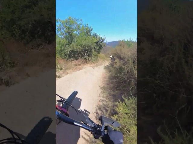 When the Trail isn't as bad as you though it was  #mountainbiketrails #easy