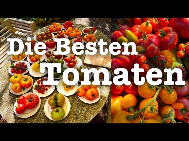 #52  Die Besten Tomaten Sorten 2024 aus meinem Garten Tomatenverkostung