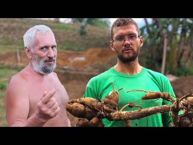 Посадили бамбук | Батя делает подпорную стенку | Почему мы не едим маниоку | Жизнь в деревне