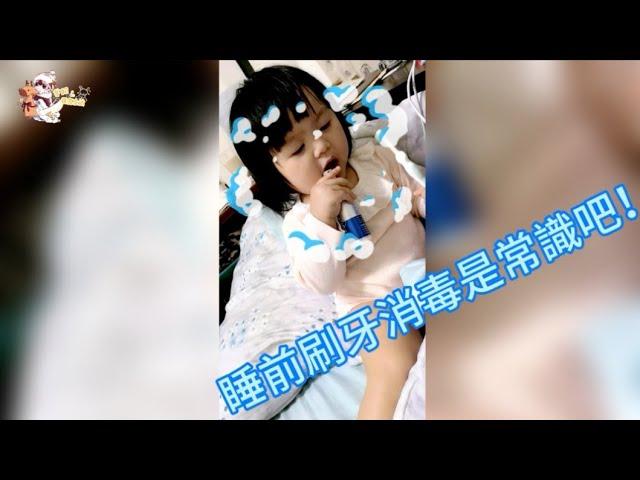 【芋妃的後宮生活】寶寶睡前會自己刷牙！！