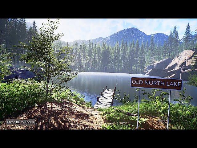 Great North Shelter 2 Launch Trailer