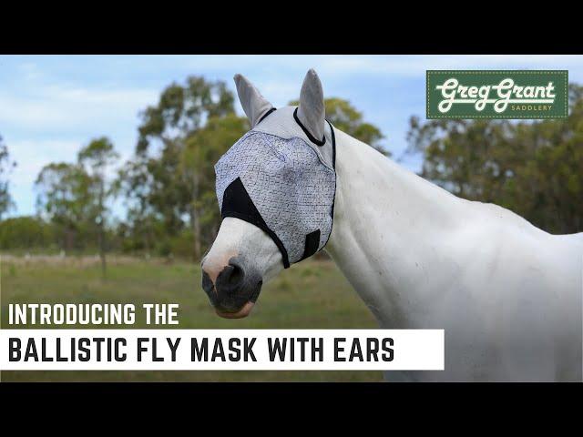 Introducing the Ballistic Fly Mask - Greg Grant Saddlery