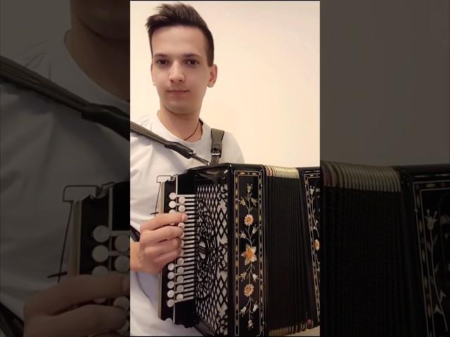 Не мне досадушку любить #гармонь #досада #частушка #песниподгармонь #фольклор