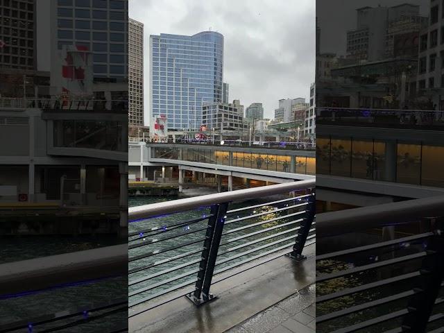 Vancouver Convention Centre Walking Tour | Stunning Waterfront Views