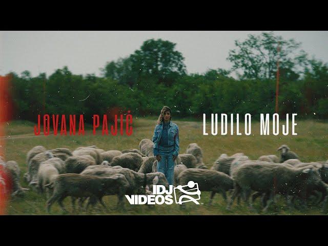 JOVANA PAJIC - LUDILO MOJE (OFFICIAL VIDEO)