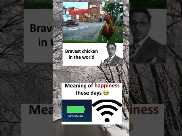 bravest chicken in the world  #shorts #memes