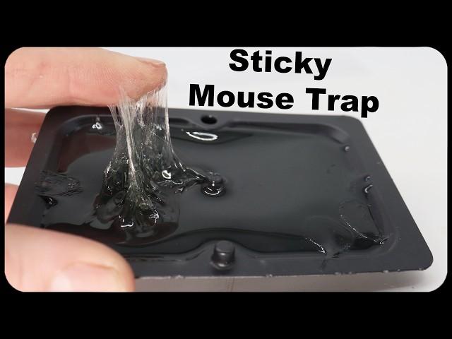 Why Are These The Most Popular Mouse Traps On Amazon? This seems like a scam. Mousetrap Monday.