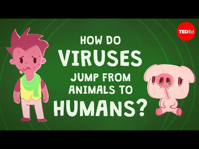 How do viruses jump from animals to humans? - Ben Longdon