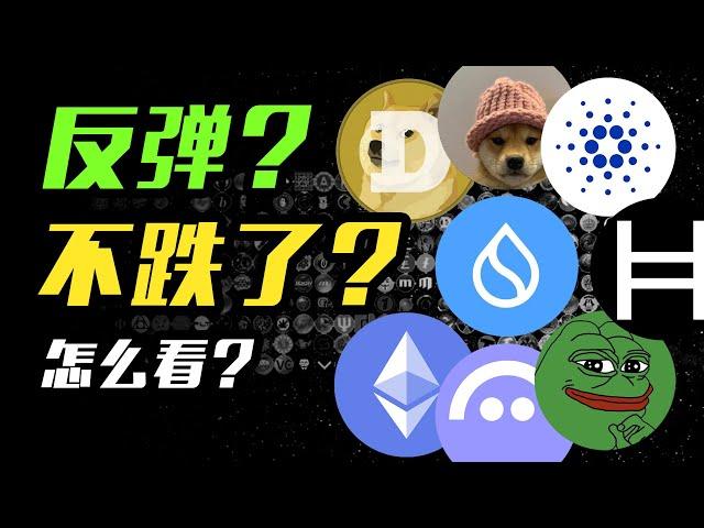 BTC怎么看？山寨币还有机会吗？SUI | WIF | ADA | HBAR | XRP | DOGE | SOL | LTC | PEPE | ETH | AAVE | 加密货币