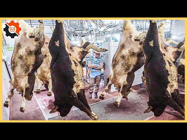 How Are Giant Cows Processed At The Factory ? Modern Beef Processing Plant | Food Industry Machines