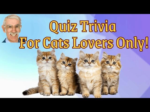 Think You Know Cats?  Take the Cat Trivia Quiz with Answers Now!