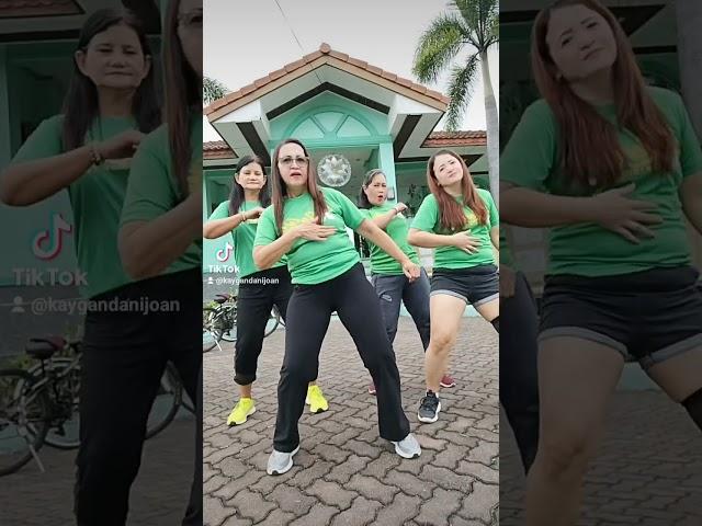 DJ MAPOPO SHALALA || TIKTOK DANCE CHALLENGE