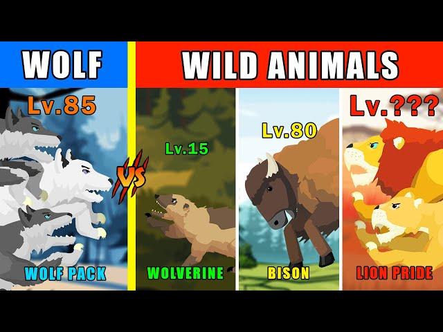 Wolf vs Animals Level Challenge [S1] | Animal Animation