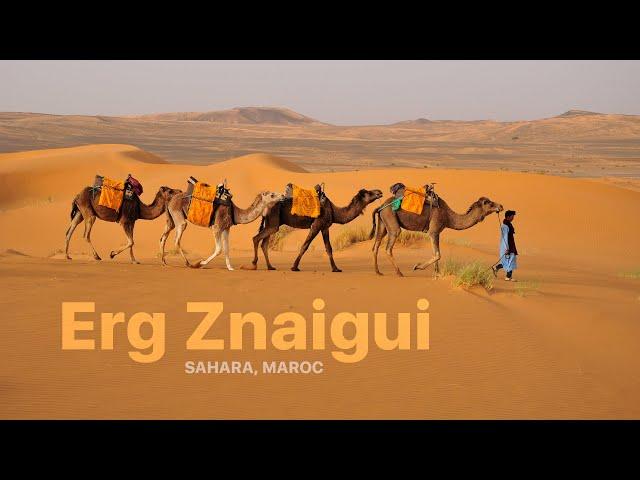 Erg Znaigui, Sahara, Maroc