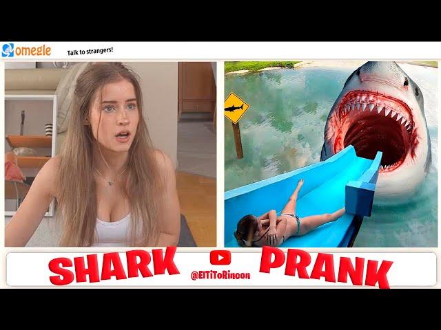 SLIDE WATER SHARK PRANK 2 I Broma Omegle : Tiburón en Tobogán de Parque Acuático Part.2