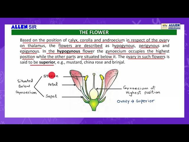 BIOLOGY Sample Video Lecture 'FLOWER' - ALLEN SIR for NEET (UG) 2021 Revision