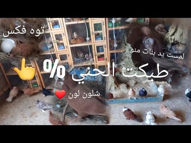 #حني طبكات الحني %فول وطبكنه طبكات جدد الوان تخبل