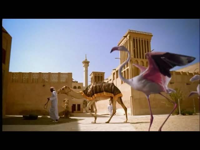 Dubai Tourism TVC