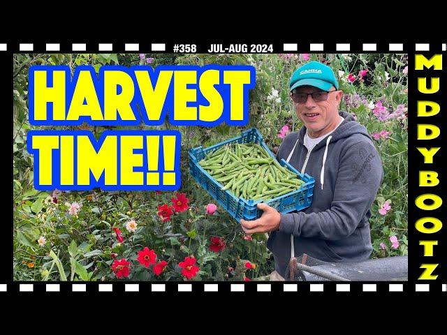 358  HARVESTING VEGETABLES  LESSONS LEARNED 