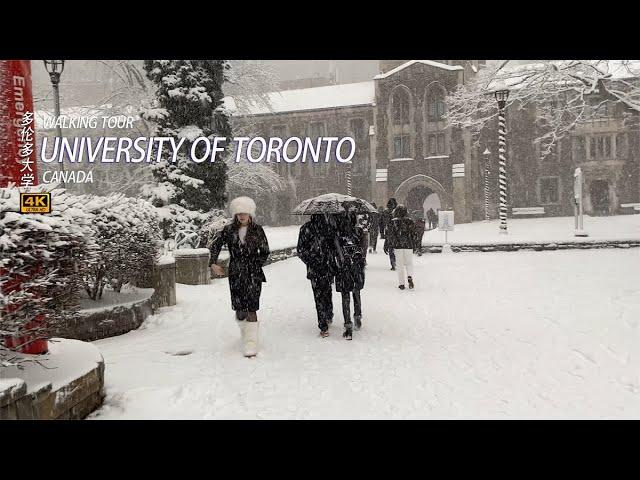 Tour Of The University Of Toronto Campus During A Snowstorm - 4K