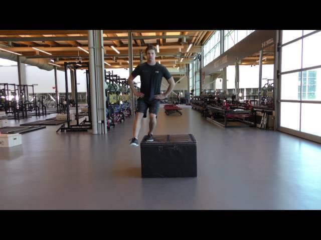 Alpine Canada Physical Testing Single Leg Full Squat