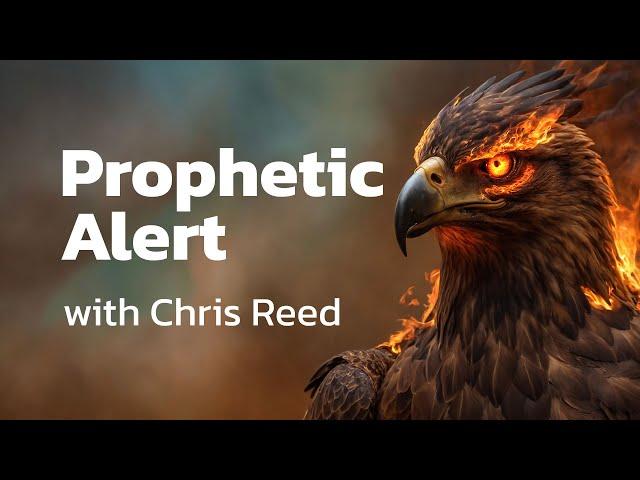 Chris Reed | Prophecy Of A WMD In The USA from December 2024 | 01-14-2025 | Like And Subscribe!