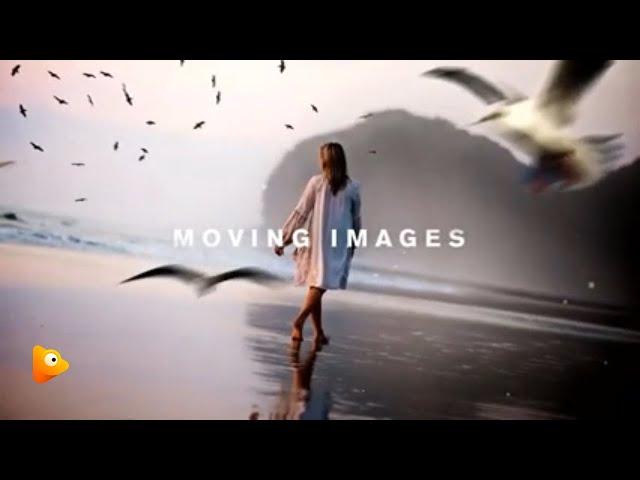 3D Photo Animation Video Maker Software: Move Your Images from STATIC to STUNNING!