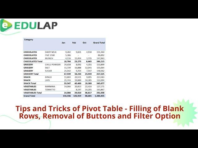 Tips and Tricks of the Pivot Table- How to Fill Blank Rows, Removal of Button and Filter from Pivot