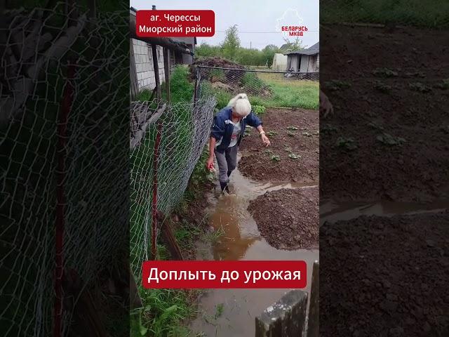 Стихия не отступает! ️