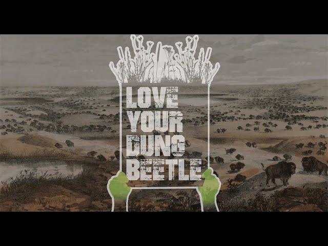 Love Your Dung Beetle