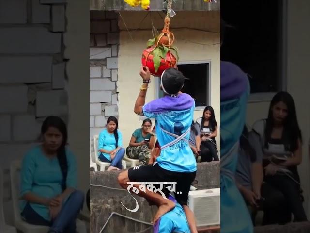 Dahi Handi from the Archives  #shortvideo #dahihandi