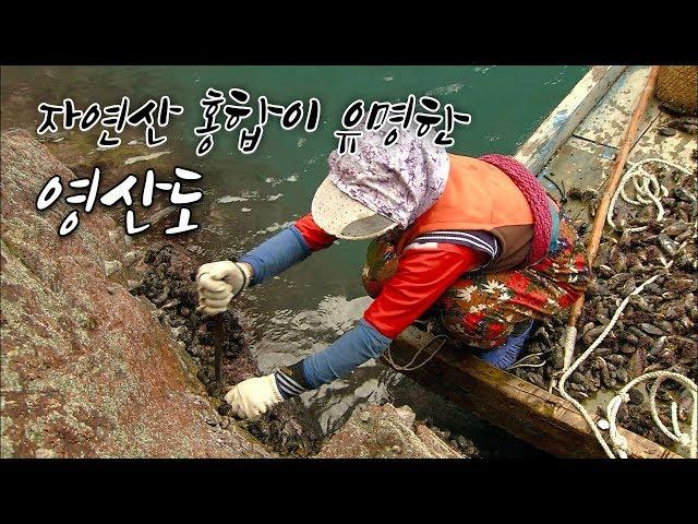 때묻지 않은 섬마을, 신안 영산도 [Korea Island]