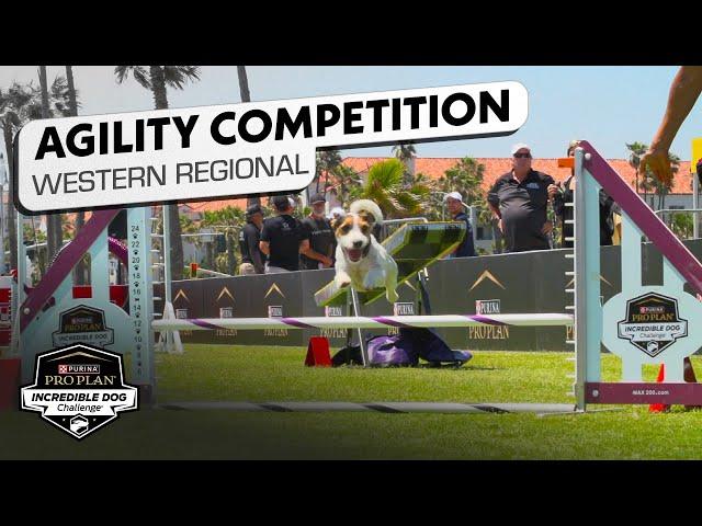 Incredible Dog Challenge: Agility Western Regional | NBC Sports