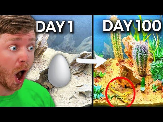 Reacting to SIMULATING a DESERT for 100 DAYS!