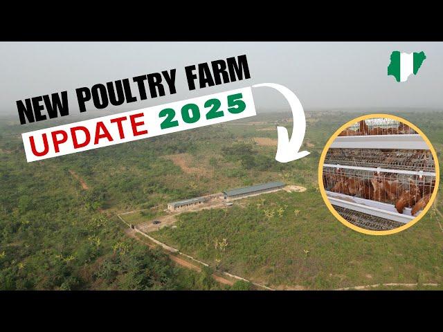 New Poultry Farmer Ready to Earn MASSIVELY from His New Chicken Farm