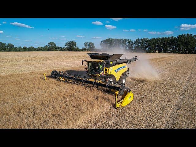 Rapsernte am Kalimandscharo / New Holland CR 9.90 [4K]