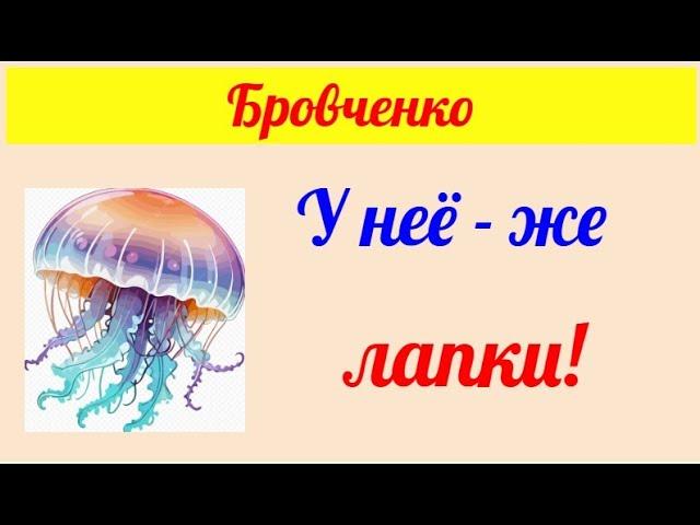 Бровченко.  Обзор влогов. 11 06 2025 Бровченко