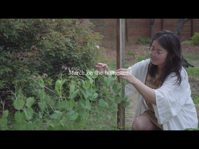 slow living in the garden | silent vlog