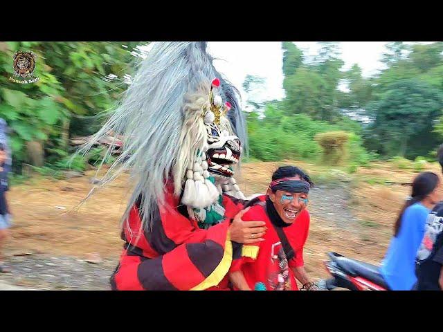 Ngakak Ketangkap Barongan Ngamuk !! Arak arakan Barongan Blora TARUNO ADI JOYO live Bogorejo