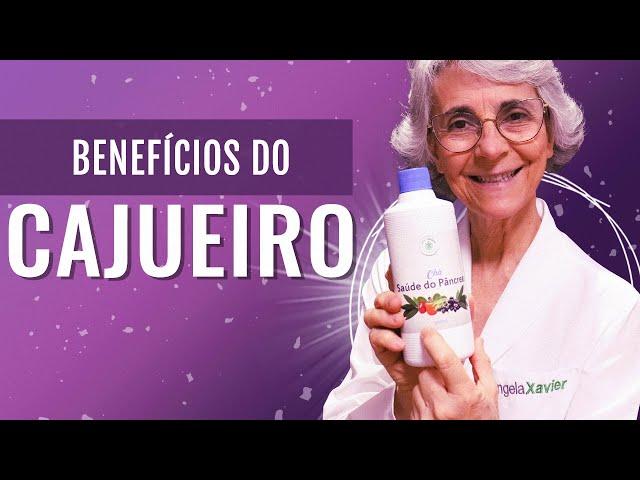 Cajueiro: diabetes, hipertensão, colesterol, gastrite, afrodisíaco, feridas, câncer e muito mais