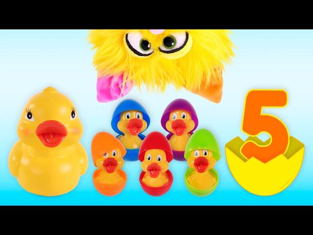 Five Little Ducks Hatch out of the Shell  Nursery Rhymes for kids