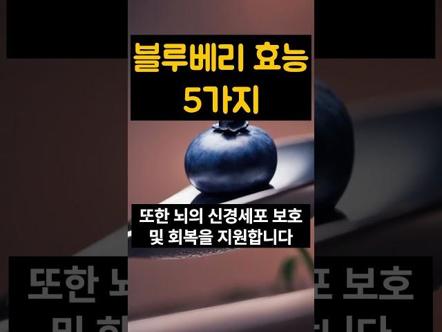 블루베리 눈에만 좋을까? 블루베리 효능 다섯가지