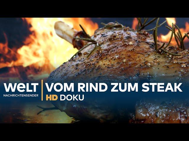 Vom Rind zum Steak - Europas größter Schlachthof | HD Doku