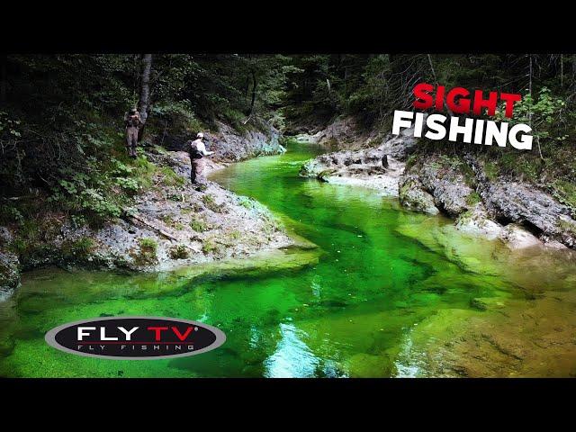 FLY TV - Sight Fly Fishing in the Alps 