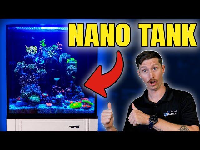 STUNNING Nano Reef Tour - Innovative Marine Nuvo 15 Showcase!