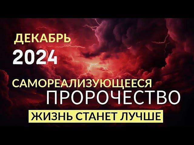 Реализуйте то, что хотите в 2024 году. НАСТРОЙ НА ДЕНЬ. Ада Кондэ