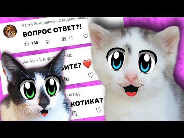 ВОПРОСЫ от ПОДПИСЧИКОВ ! КОГДА НОВЫЙ ПИТОМЕЦ? и КОТ которого ВЫ не ВИДЕЛИ