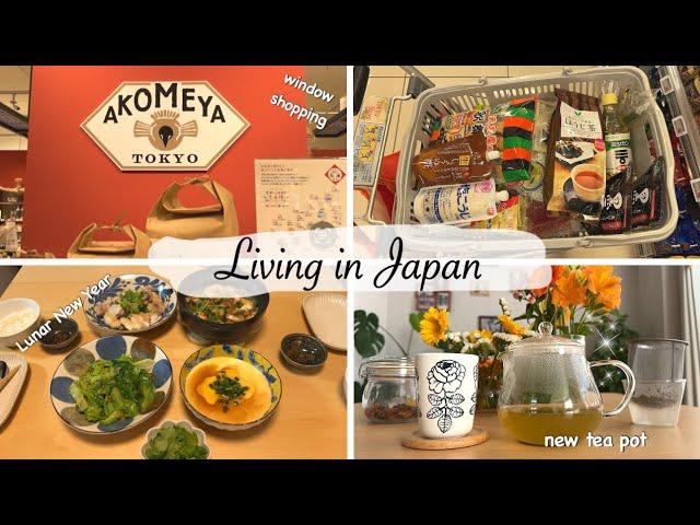 window shopping at AKOMEYA,  make a dinner to remember my roots, new teapot | japan vlog